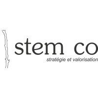 Stem Co logo - Similar company to Lisy