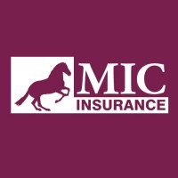 MIC INSURANCE COMPANY Sucursal España logo - Similar company to Aserta España