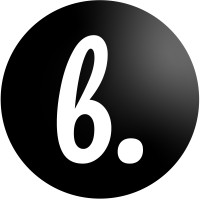 bottish logo - Similar company to Raized.Ai