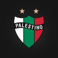 Club Deportivo Palestino logo - Similar company to Everton De Viña Del Mar S.A.D.P