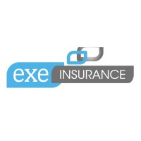 Exe Insurance logo - Similar company to The Exeter Group, Llc