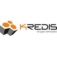 KREDIS Srl logo - Similar company to Castoro Spa