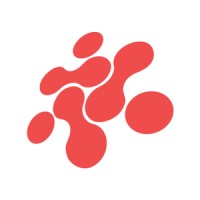 MIND Hub logo - Similar company to Arkusnexus