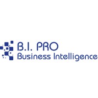 B.I PRO BUSINESS INTELLIGENCE logo - Similar company to Concis