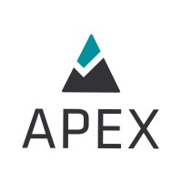 Apex IT logo - Similar company to Viscenario As