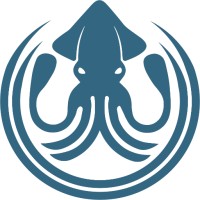 Squid Paddle Co logo - Similar company to Usa Sup