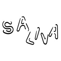 Grupo Saliva logo - Similar company to Bfw Group
