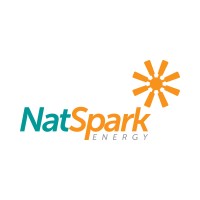 NatSpark Energy Private Limited logo - Similar company to Metaspark Engineers Private Limited