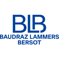 Baudraz Lammers Bersot logo - Similar company to Byteforgezw