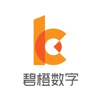 碧橙数字 Bicheng Digital logo - Similar company to Icentech Limited