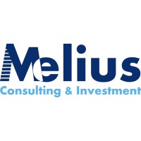 Melius Consulting & Investment S.L. logo - Similar company to Melius Consulting