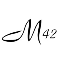 Macavity42 logo - Similar company to Anwb Rijopleiding