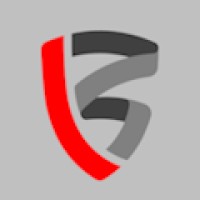 Batska Network logo - Similar company to Tocci Engineering Pllc