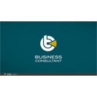 Business Consultant S.r.l. logo - Similar company to The Consultant Global