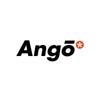Ango Studio logo - Similar company to Virtualtech Frontier