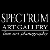 SPECTRUM ART GALLERY logo - Similar company to Spectrum Design & Conservation Hub