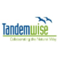Tandemwise logo - Similar company to Brook Special Solutions