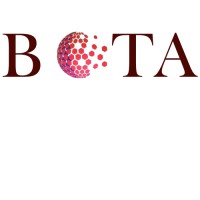Bota Consulting Group logo - Similar company to 5 Borough Communications