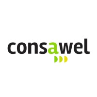 Consawel Consulting Ltd. logo - Similar company to Arun Engineering Consultancy Services