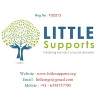 Little Supports Ngo logo - Similar company to Sanvedana Ngo