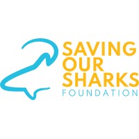 Saving Our Sharks Foundation logo - Similar company to Biofaces