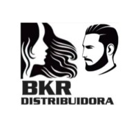 B K R Comércio E Distribuidora Ltda