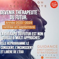 Institut de Guidance Émotionnelle Stratégique logo - Similar company to Master Ccrf