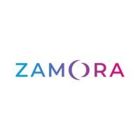 Zamora AI logo - Similar company to Surf King