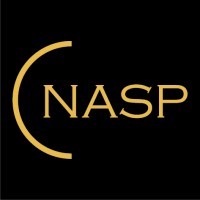 NASP BV logo - Similar company to Iamprogrez