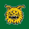 Tampereen Ilves | Ilves Hockey logo - Similar company to Nokia Arena