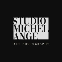 Studio Michel Ange logo - Similar company to Lmz Conseils