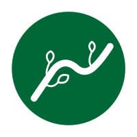 beanstalk media logo - Similar company to Beanstalk Media