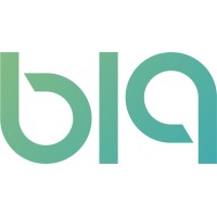 b19 Consulting logo - Similar company to Harrison Bridge