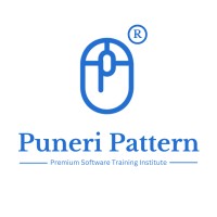 Puneri Pattern Pvt Ltd logo - Similar company to Firephoenix Dev