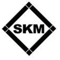 SKM Steel Holdings Co., Ltd logo - Similar company to 3C Advisory Llc