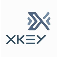XKey STI logo - Similar company to Dbs Informatica
