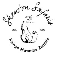 Shenton Safaris logo - Similar company to Map2Africa