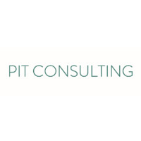 PIT Consulting logo - Similar company to Pit Sistemas