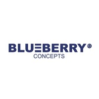 Blueberry Concepts logo - Similar company to Commerce Edge Sa