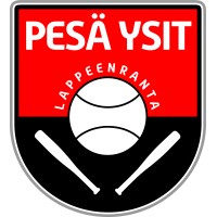 Pesä Ysit ry logo - Similar company to Mediatili Oy