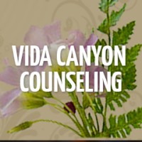 Vida Canyon Counseling logo - Similar company to Texas Panhandle Centers - Behavioral & Developmental Health