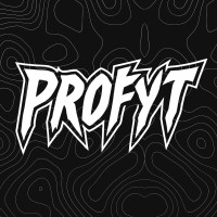 Profyt Social logo - Similar company to Squid X Media