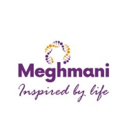MEGHMANI LIFESCIENCES LTD logo - Similar company to Pagari Pharmatech, Inc.