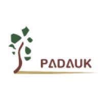 PADAUK Technology Co., Ltd. logo - Similar company to Microprogram