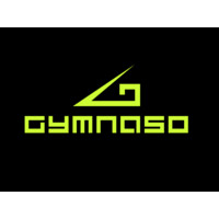 𝙂𝙔𝙈𝙉𝘼𝙎𝙊 logo - Similar company to Fittin