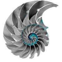 RIBARUS logo - Similar company to Executive Mobility Financial Solutions
