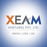 XEAM VENTURES PVT LTD. logo - Similar company to Sigma Esolution Pvt Ltd