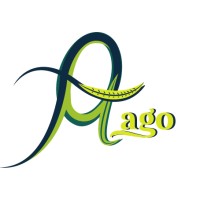 OptiMago logo - Similar company to Pulse  