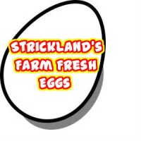 Strickland's Farm Fresh Eggs logo - Similar company to Heritage Bee Farm Llc.