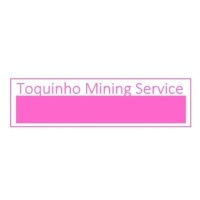 Toquinho Mining Service logo - Similar company to Mining Tech Partners